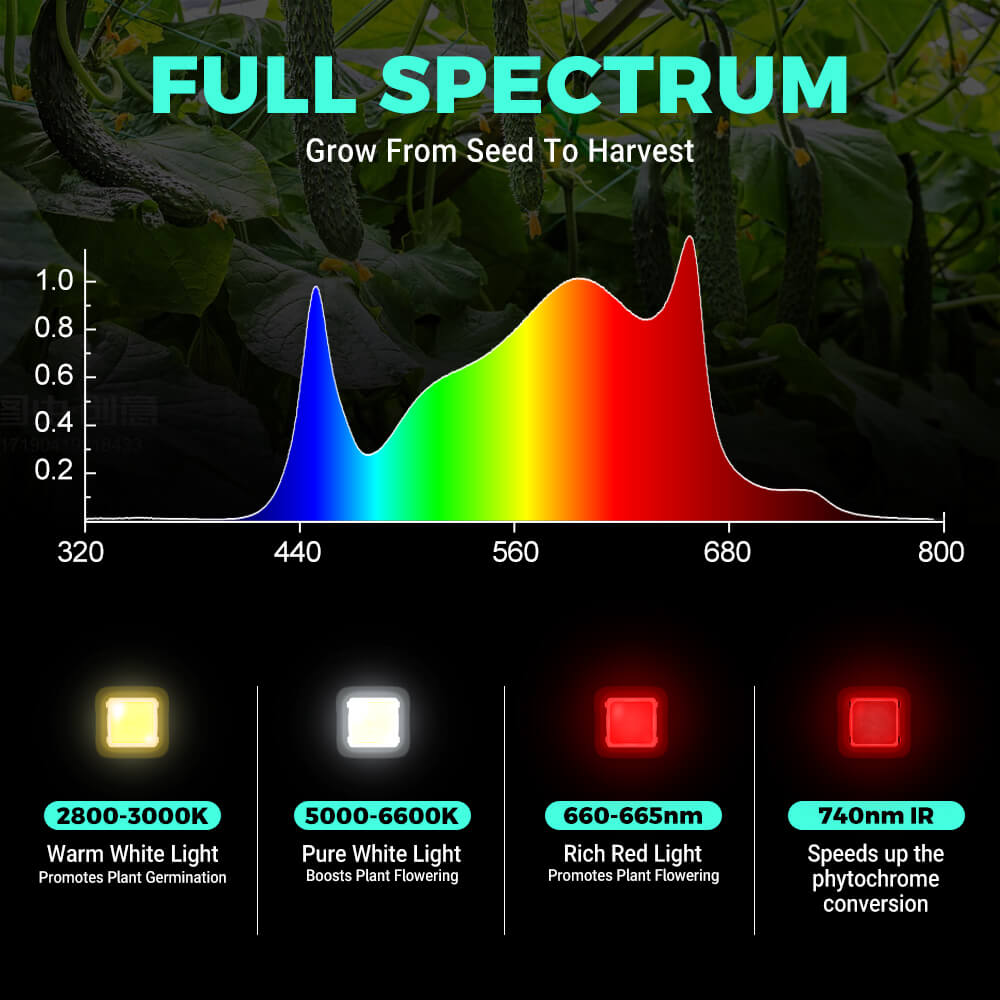 PHLIZON FD4500 450W Full-spectrum Dimmable LED Grow Light with Samsung 281B LED