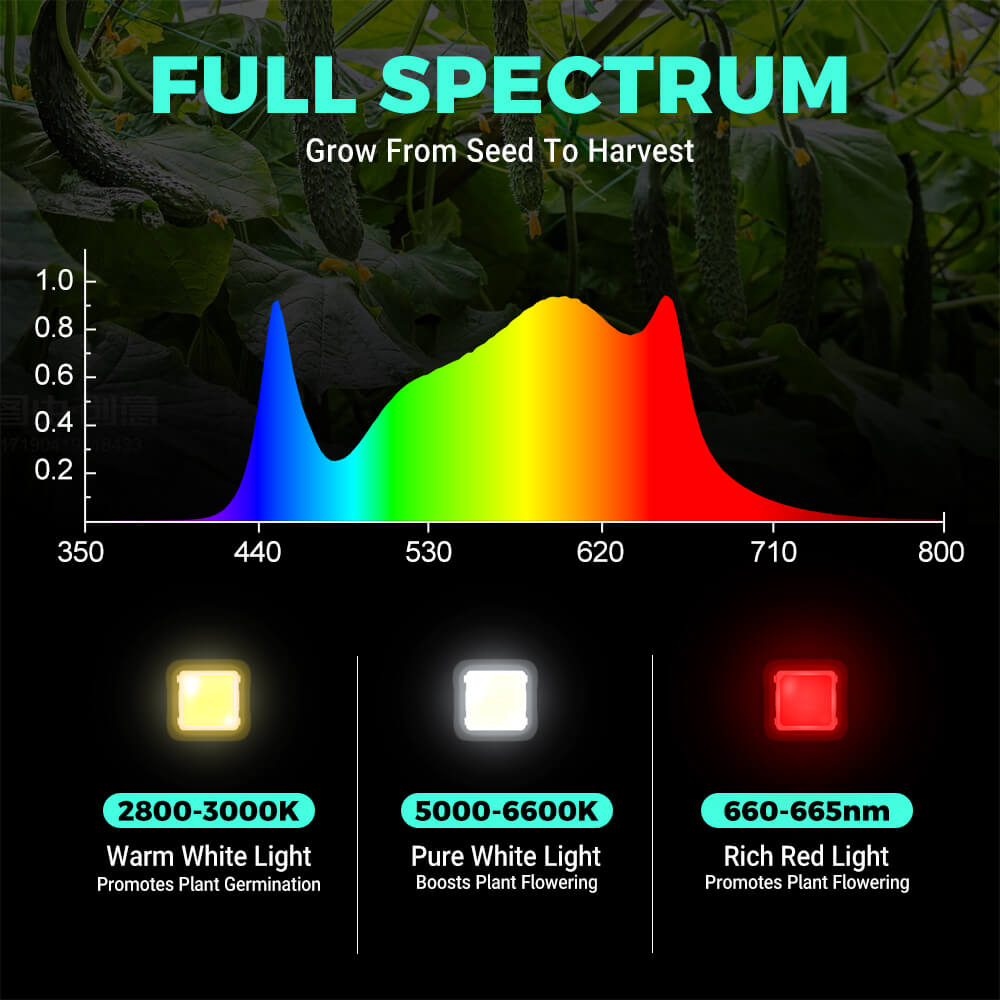 PHLIZON FD6000 PLUS 640W Full-spectrum Daisy Chain Dimmable LED Grow Light with Detachable Driver