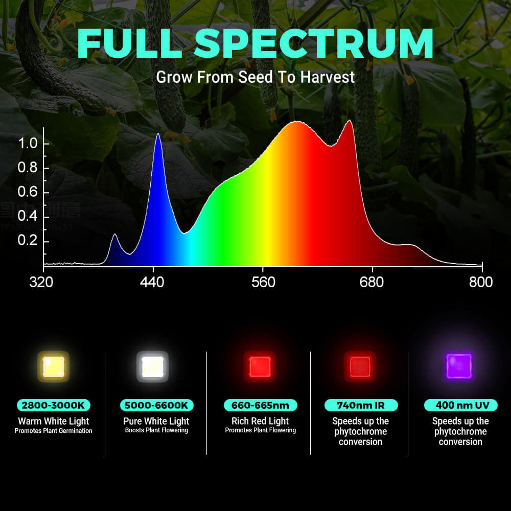 PHLIZON PH-B8-D PLUS 640W Full-spectrum+UV/IR Daisy Chain Dimmable Cost-effective High-yield Commercial LED Grow Light for 4×4