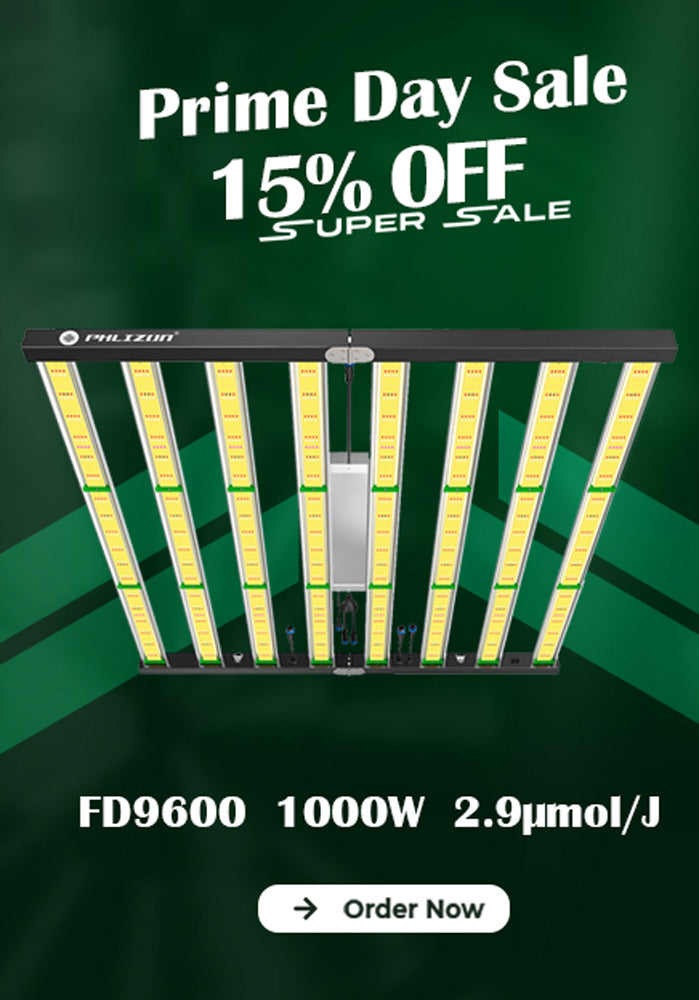 phlizon led grow light sale
