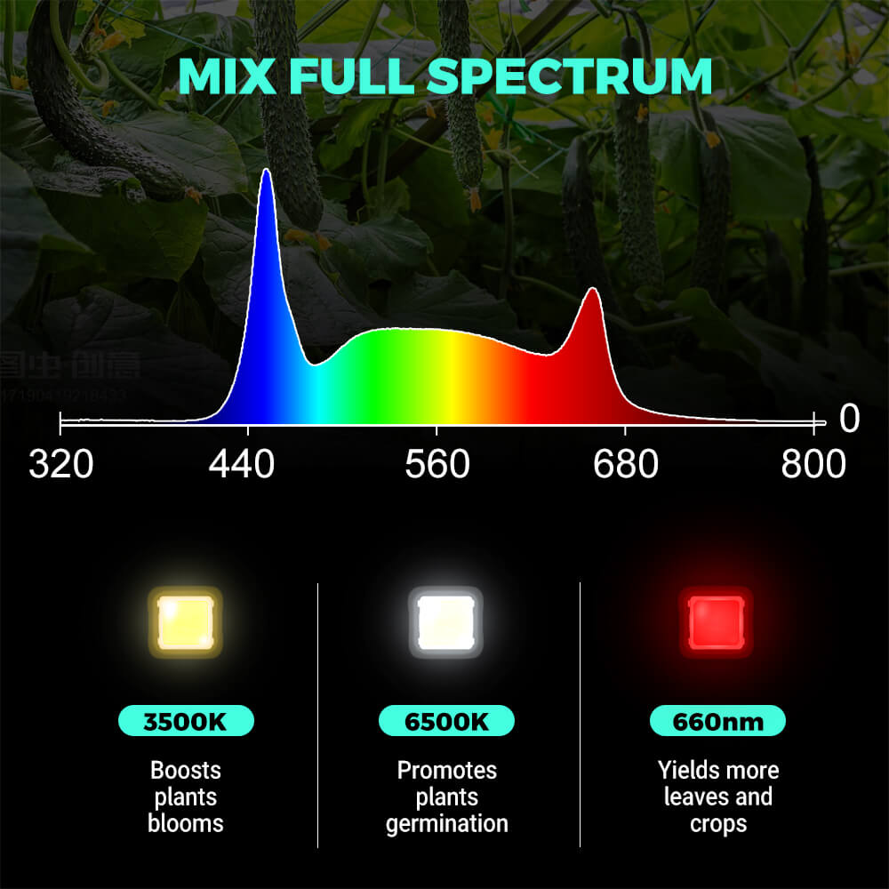 PHLIZON FD6000 PLUS 640W Full-spectrum Daisy Chain Dimmable LED Grow Light with Detachable Driver