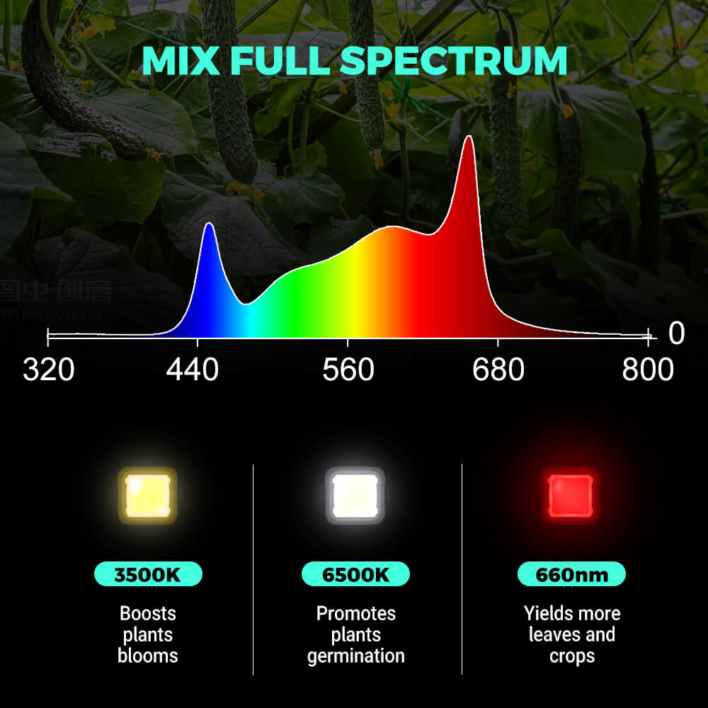 PHLIZON FD8000 1000W Full-spectrum Dimmable LED Grow Light with Samsung 281B LED